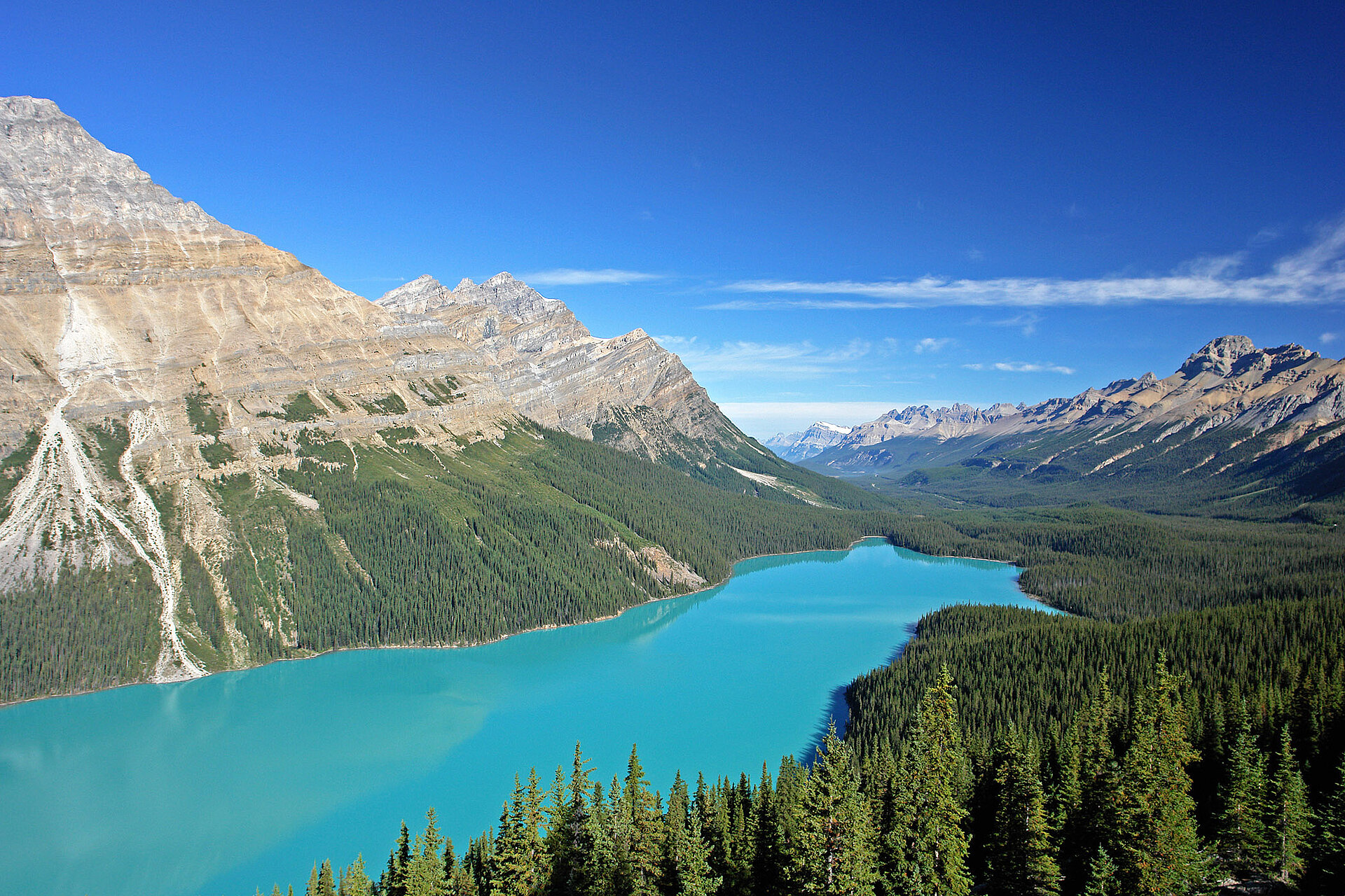 Roto környezetvédelmi nyilatkozataienvironmental declarations