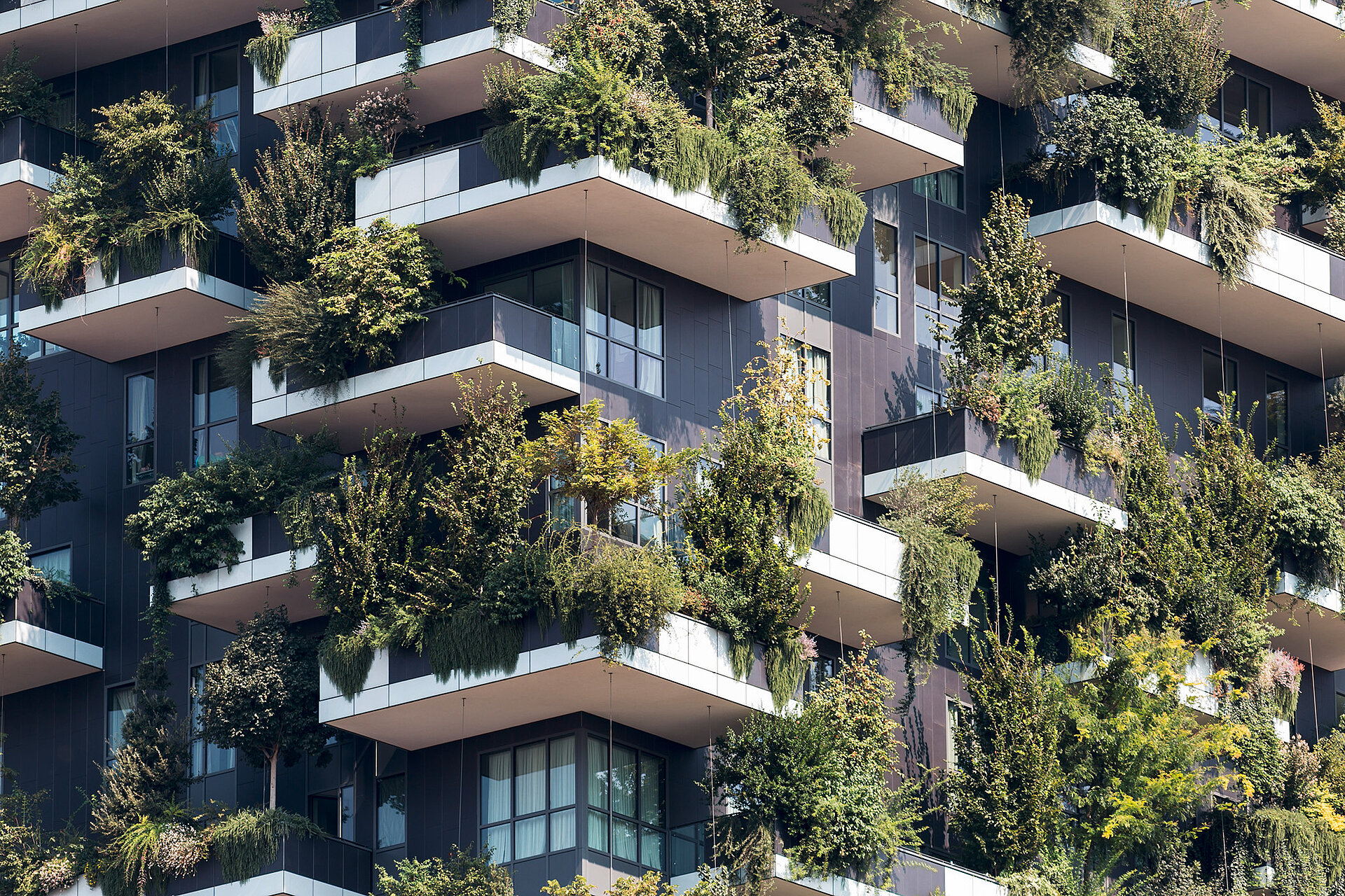 High-rise flats with green balconies