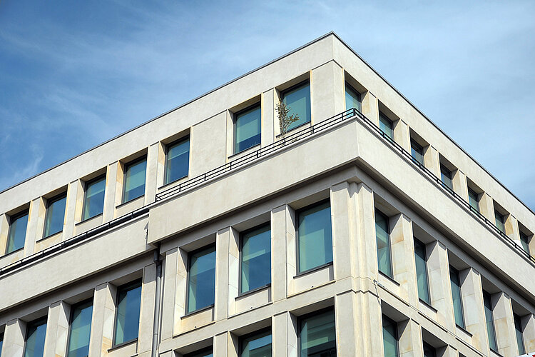 The Brain Embassy BE Czackiego